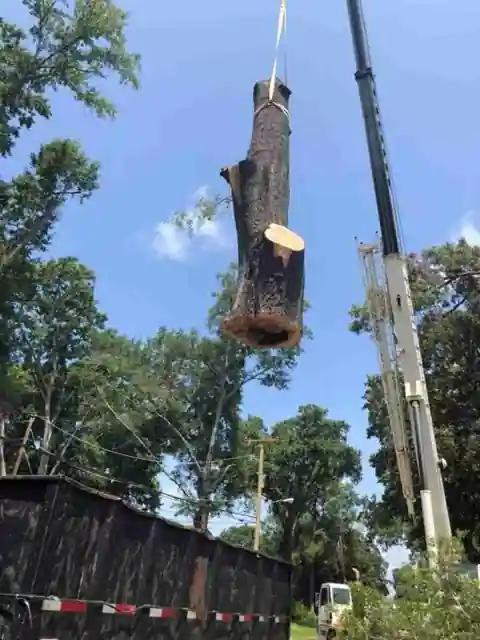 A trunk section hanging vertically from the crane over a fence line