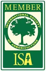 International Society of Arboriculture member