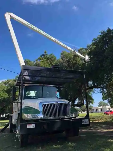 A white International crane truck with its boom raised beneath a live oak canopy