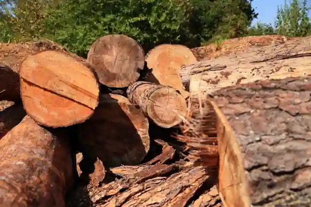 Cut pine log ends stacked in the yard, rings and bark showing
