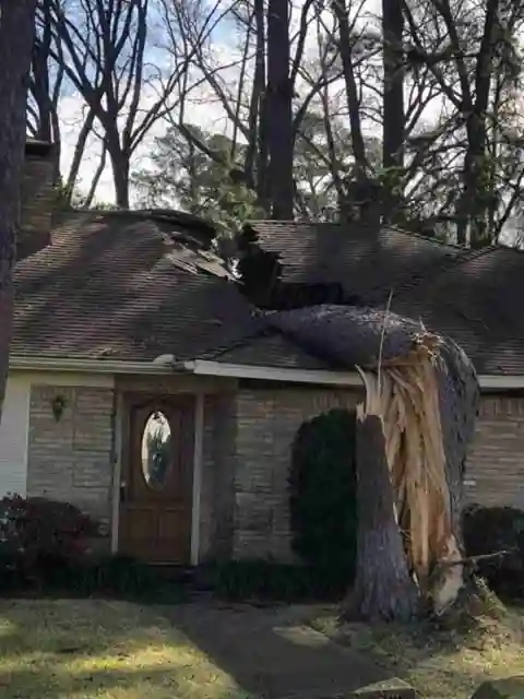 A split trunk resting on the roof of a brick home