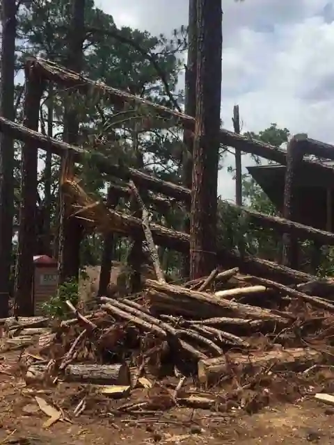Snapped pine trunks and a pile of debris beside a house