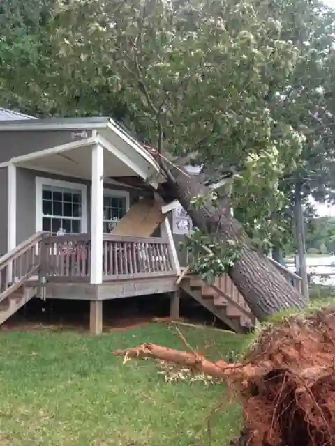 An uprooted tree lying on a small porch house, its root plate torn out of the lawn